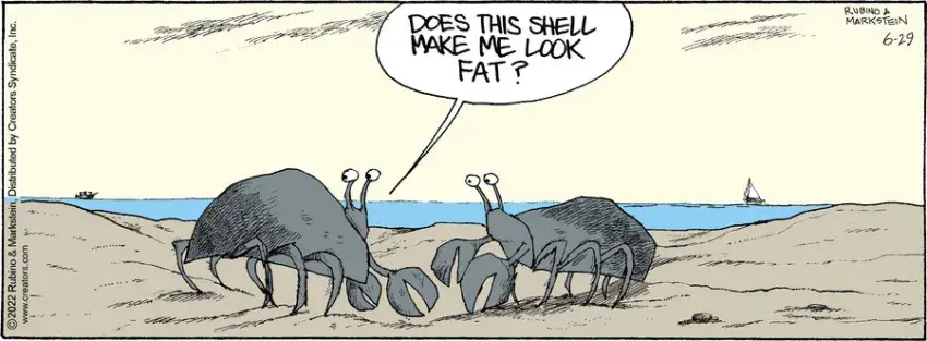 Daddy's Home for Jun 29, 2022