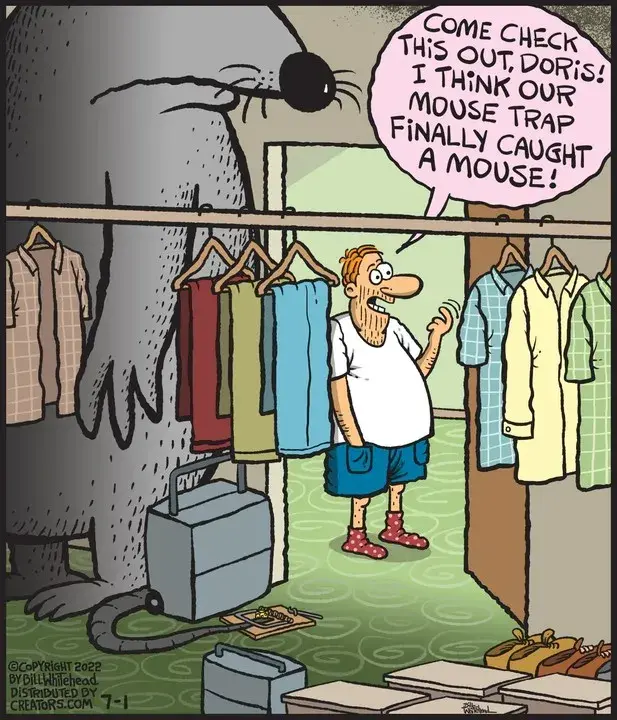 Free Range for Jul 01, 2022