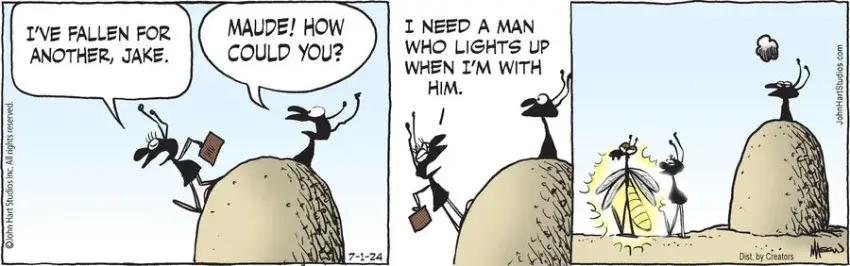 B.C. for Jul 01, 2024