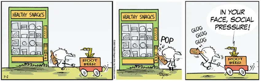 The Barn for Jul 02, 2021