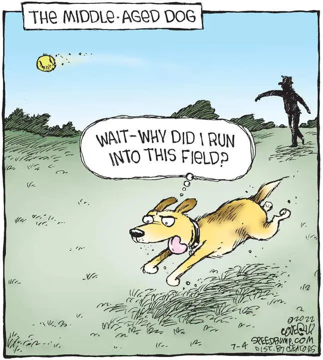 Speed Bump for Jul 04, 2022