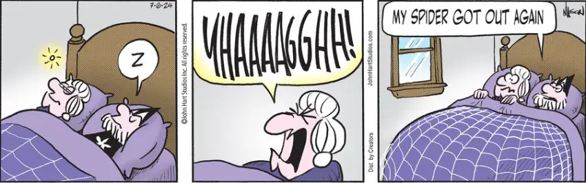 Wizard of Id for Jul 06, 2024