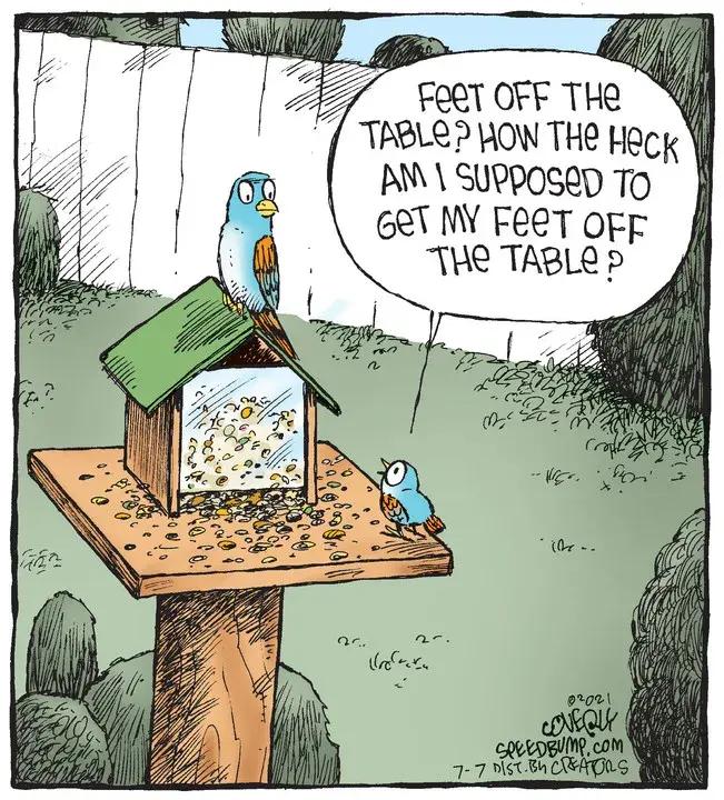 Speed Bump for Jul 07, 2021