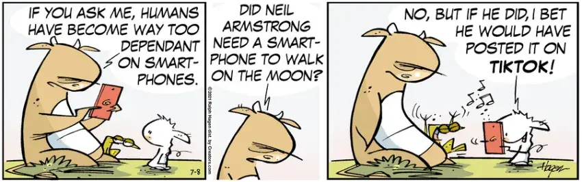 The Barn for Jul 08, 2021