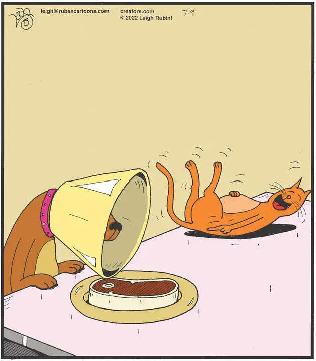 Rubes® for Jul 09, 2022