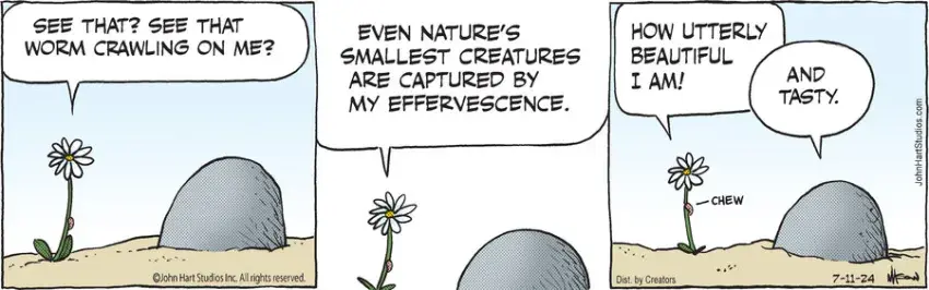 B.C. for Jul 11, 2024