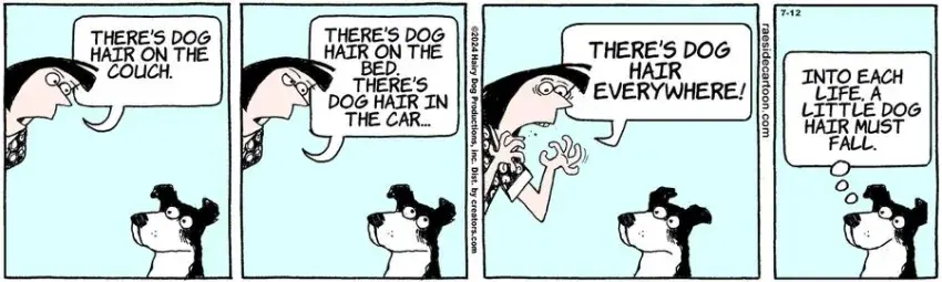 The Other Coast for Jul 12, 2024