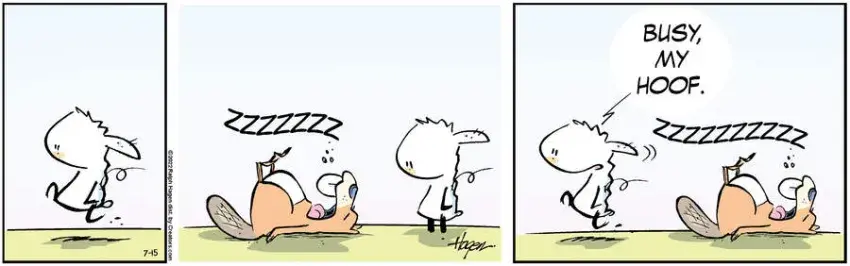 The Barn for Jul 15, 2022