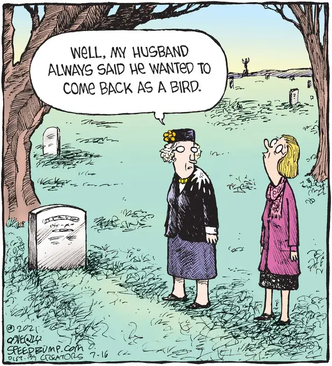 Speed Bump for Jul 16, 2021