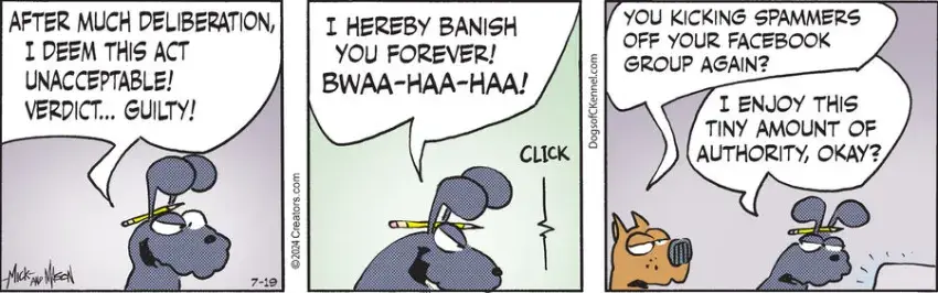 Dogs of C-Kennel for Jul 19, 2024