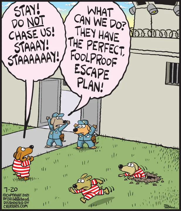 Free Range for Jul 20, 2021