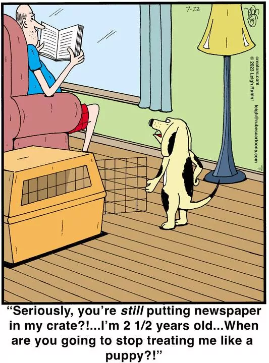 Rubes® for Jul 22, 2023