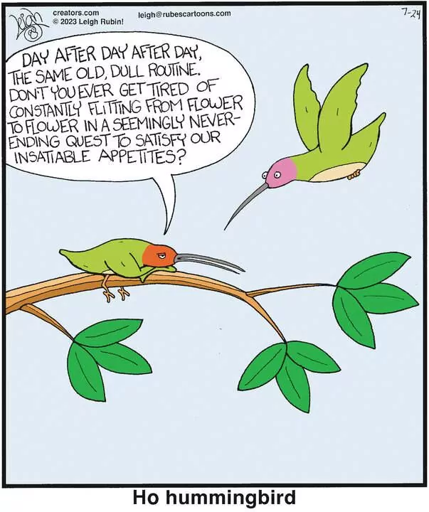 Rubes® for Jul 24, 2023