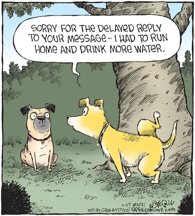 Speed Bump for Jul 27, 2021