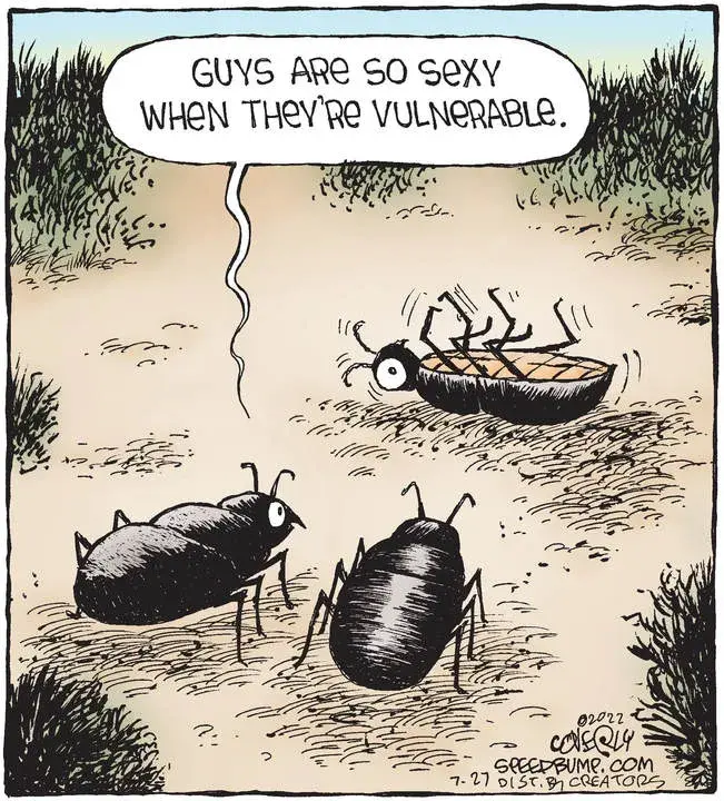 Speed Bump for Jul 27, 2022