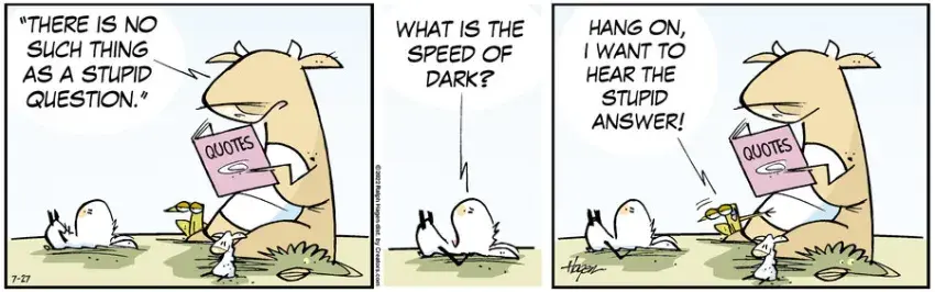 The Barn for Jul 27, 2022