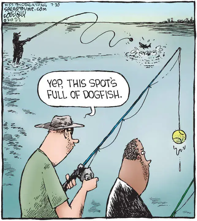 Speed Bump for Jul 30, 2022