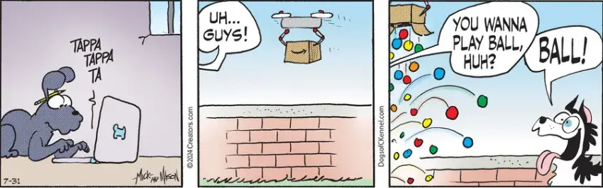 Dogs of C-Kennel for Jul 31, 2024