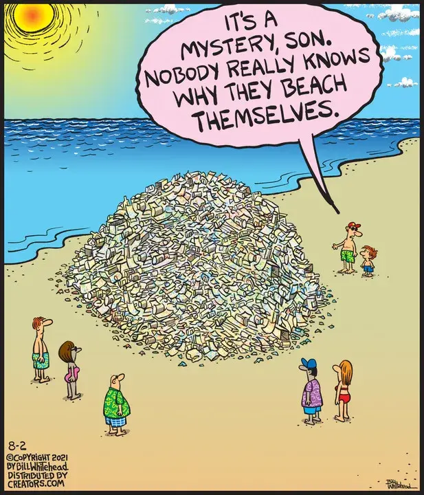 Free Range for Aug 02, 2021