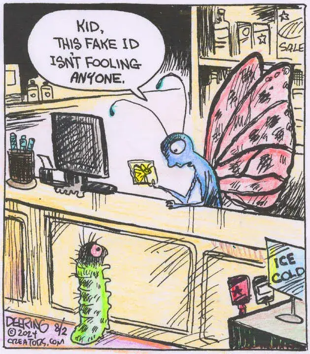 Strange Brew for Aug 02, 2024