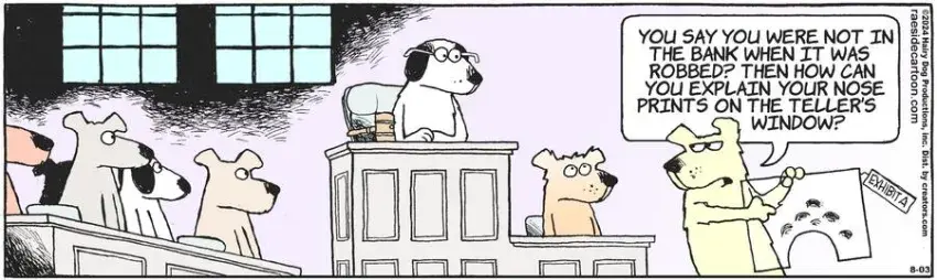 The Other Coast for Aug 03, 2024