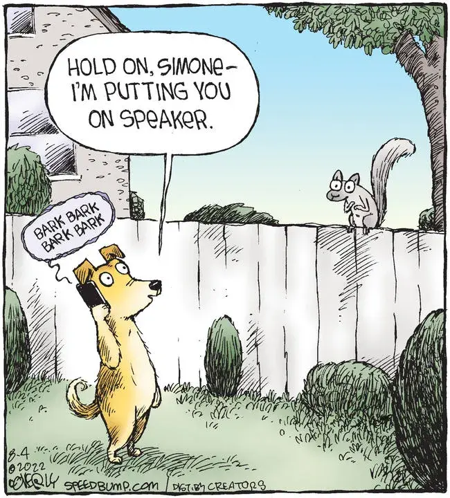 Speed Bump for Aug 04, 2022