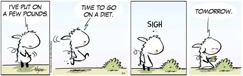 The Barn for Aug 06, 2022