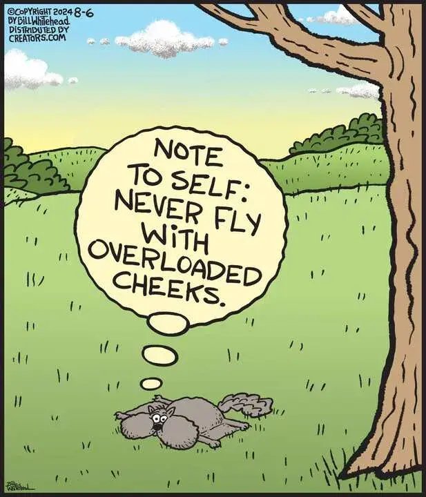 Free Range for Aug 06, 2024