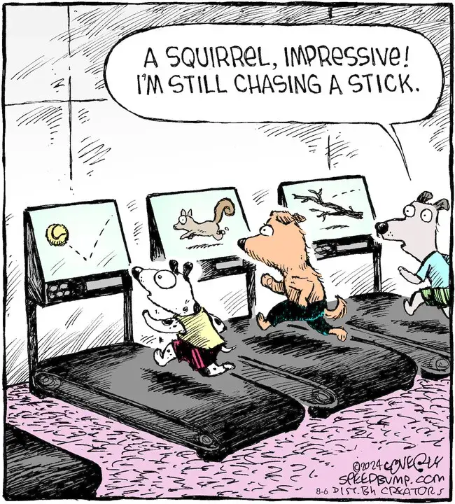 Speed Bump for Aug 06, 2024