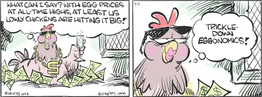 Shrimp and Grits for Aug 08, 2024