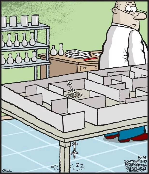 Free Range for Aug 09, 2023