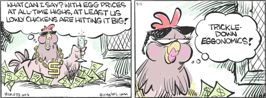 Shrimp and Grits for Aug 11, 2022