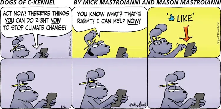 Dogs of C-Kennel for Aug 11, 2024