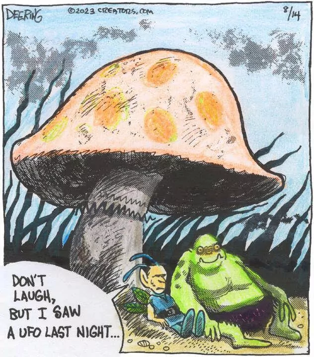 Strange Brew for Aug 14, 2023