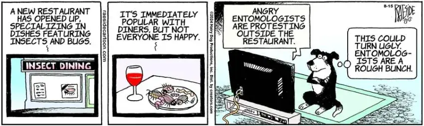 The Other Coast for Aug 15, 2024