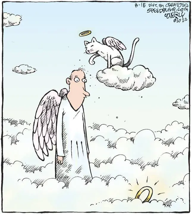 Speed Bump for Aug 16, 2022