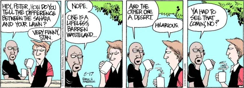 Daddy's Home for Aug 17, 2021