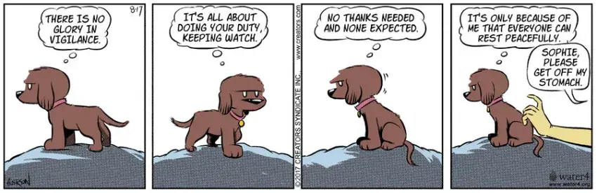 Dog Eat Doug for Aug 17, 2022