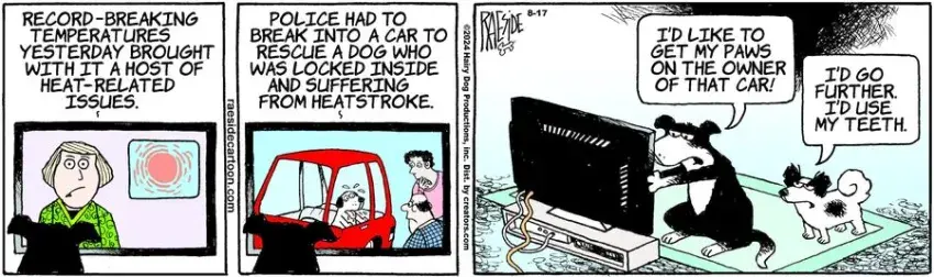 The Other Coast for Aug 17, 2024