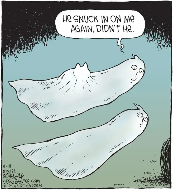 Speed Bump for Aug 18, 2021