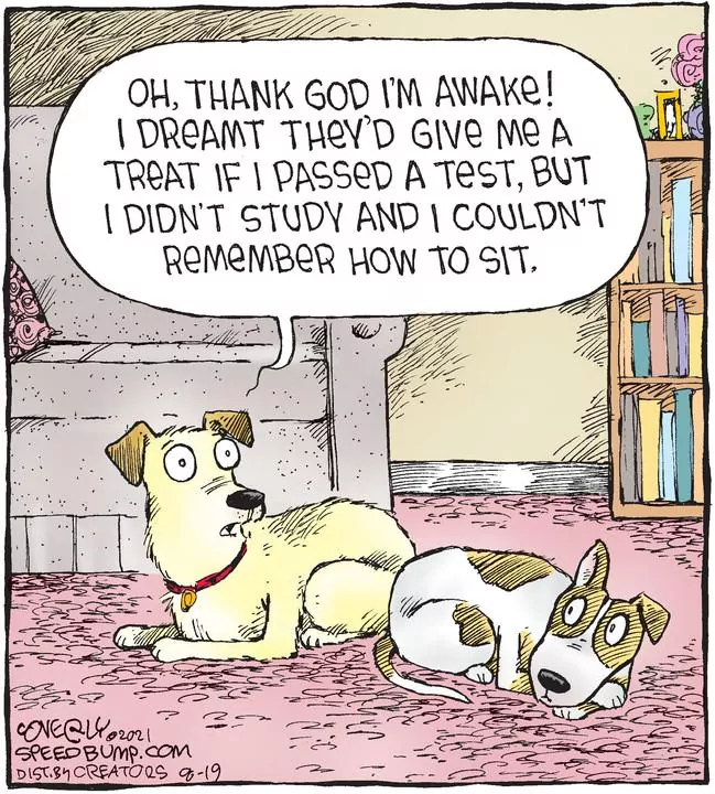 Speed Bump for Aug 19, 2021