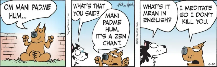 Dogs of C-Kennel for Aug 20, 2024