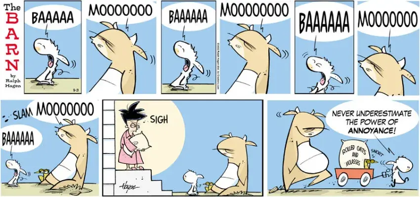 The Barn for Aug 21, 2022