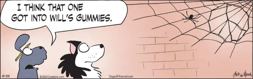 Dogs of C-Kennel for Aug 23, 2024
