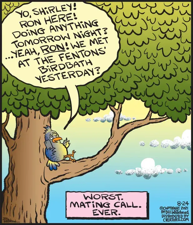 Free Range for Aug 24, 2021