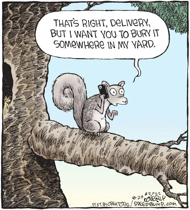 Speed Bump for Aug 24, 2022