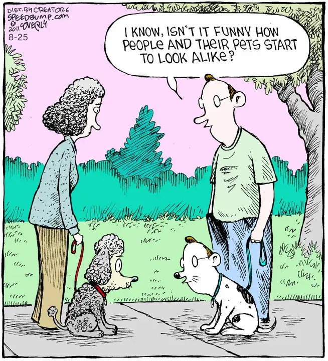 Speed Bump for Aug 25, 2021