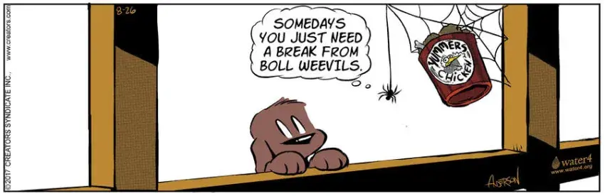 Dog Eat Doug for Aug 26, 2022