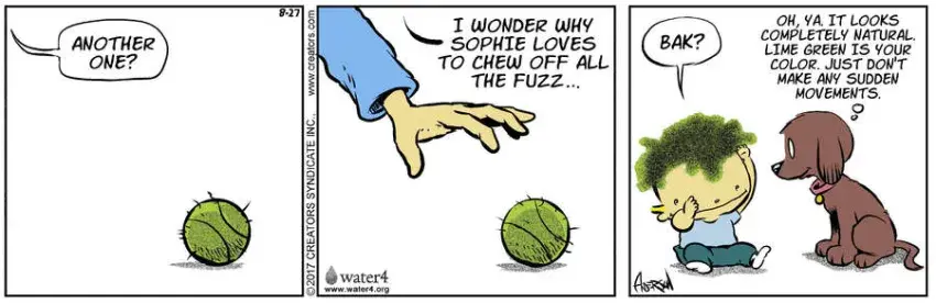 Dog Eat Doug for Aug 27, 2022