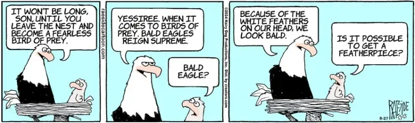 The Other Coast for Aug 27, 2024